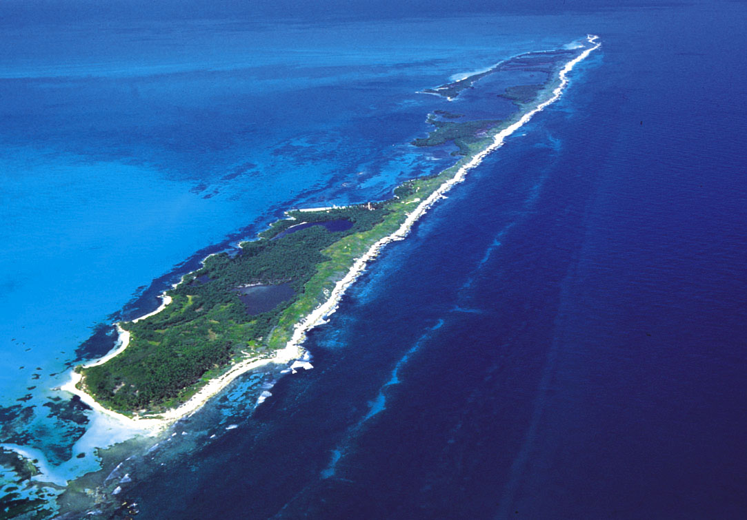 http://www.contoytours.com/yahoo_site_admin/assets/images/009_Isla_Contoy_Aerea_.237201225_large.jpg